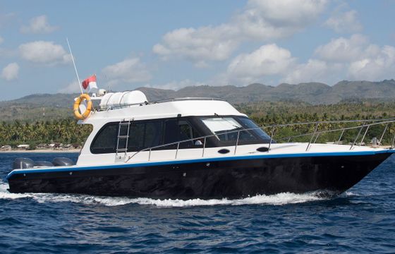 Custom 42 Sprinter