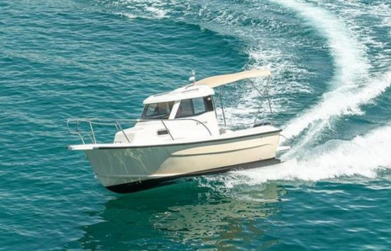Fortis 590C