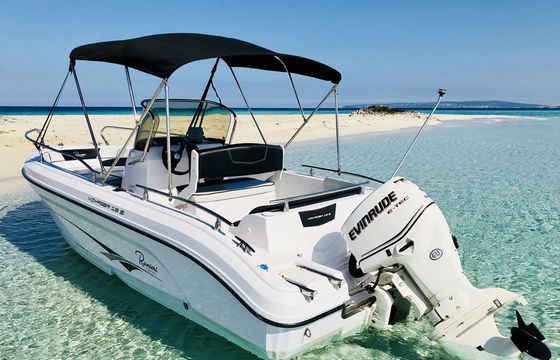 Ranieri Voyager 19 S