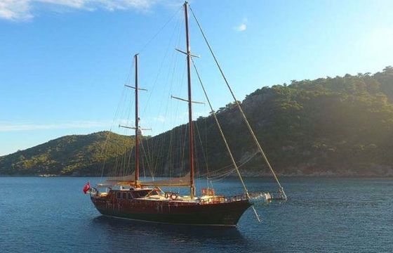 Gulet 85