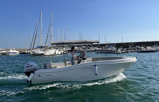 Allegra all 21 open
