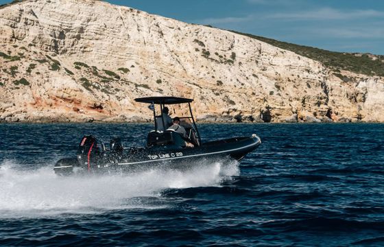 Topline C29