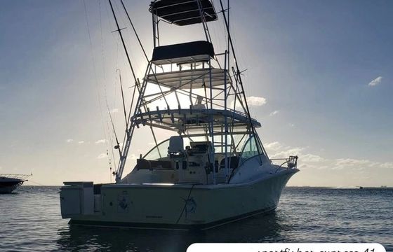 Luhrs Express