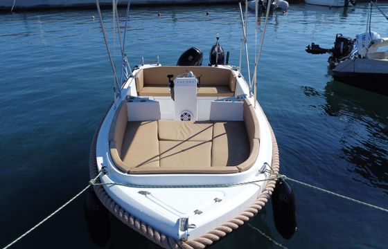 Valory 480
