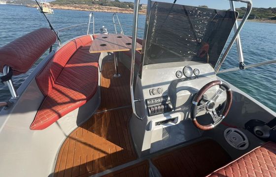 Isatek Tekne Cobra 495