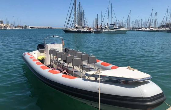 Sea Ribs 8'60 pro
