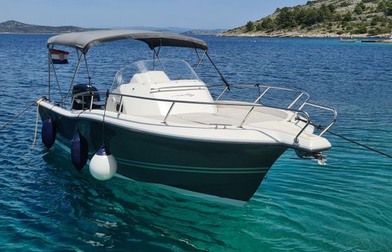 White Shark 228