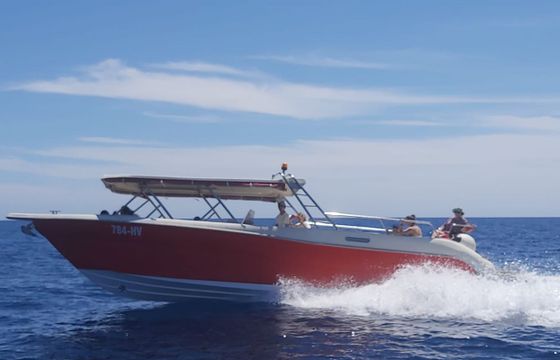 Enzo 35