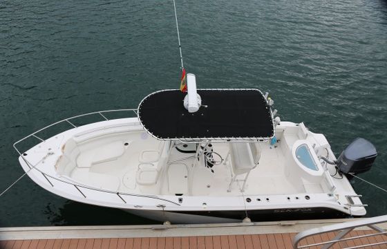 Sea Fox 256CC