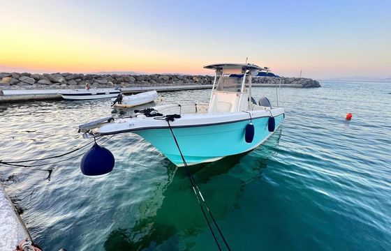 Seaswirl Striper