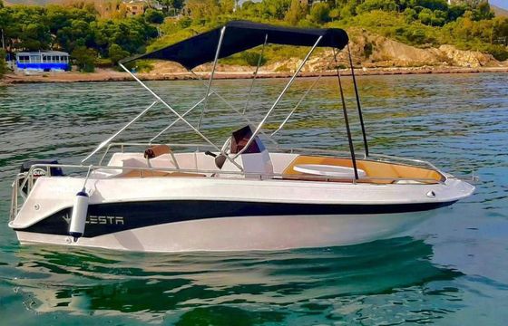 Alesta Marlin 460