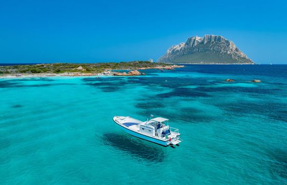 Speedboat Puma 33