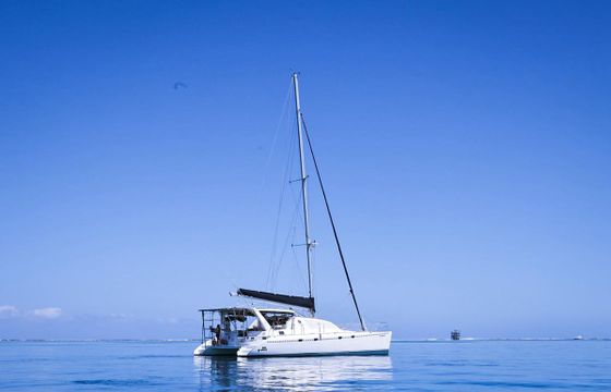 Robertson and Caine Leopard 45ft
