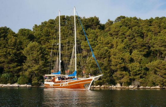 Gulet 85