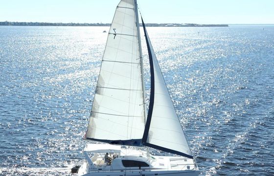 Robertson and Caine Leopard 47
