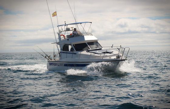 Doqueve FISHERMAN 360