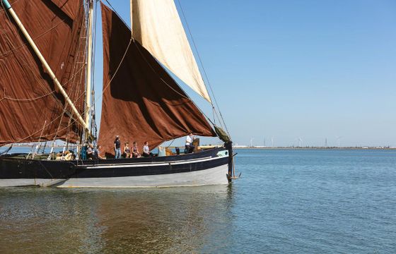 M/S 86