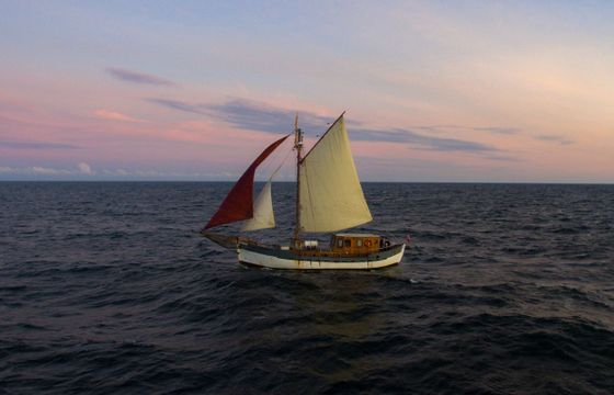 Traditional M/S 52