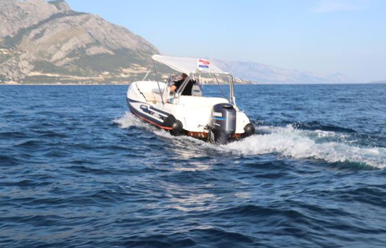 Zar 61