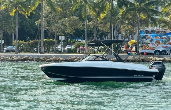 Bayliner VR4