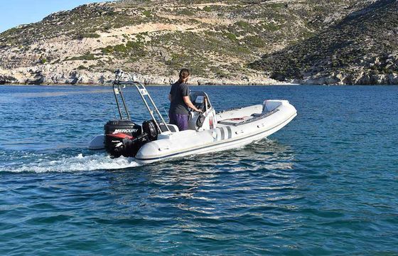 RIB 19