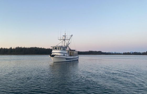 Hoquiam 50