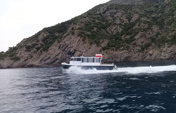 M/B Pilotina 39