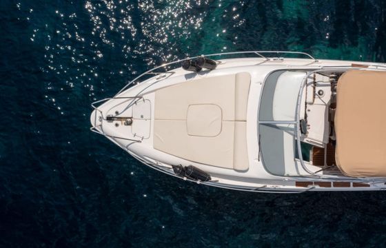 Sealine Ambassador