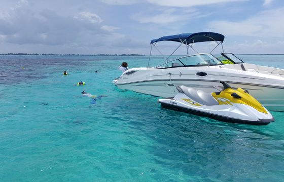 Sea Ray Sea Ray