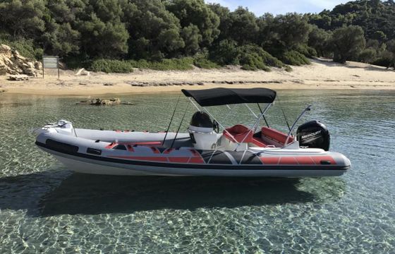 Stingher 2018