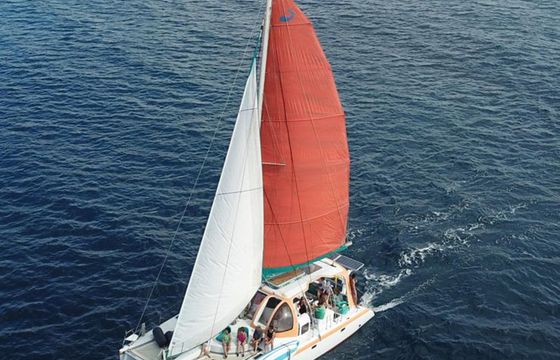 Catamaran Scape 39