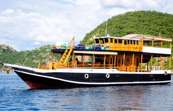 Traditional Traditional Motor Yacht
