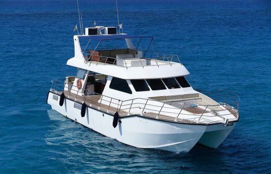 Custom Power Catamaran