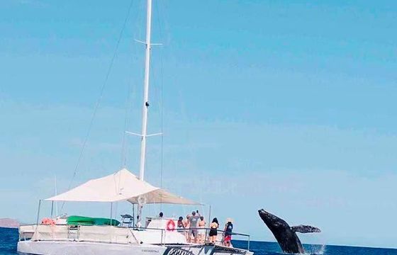 Trimaran 48 t