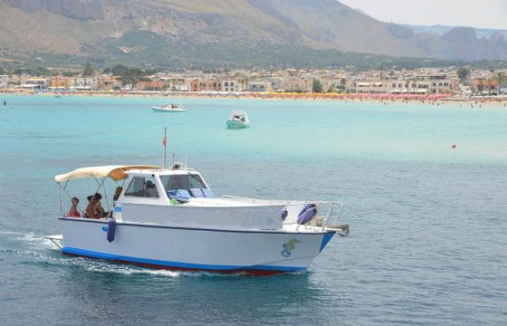 Crestliner Aztec 33