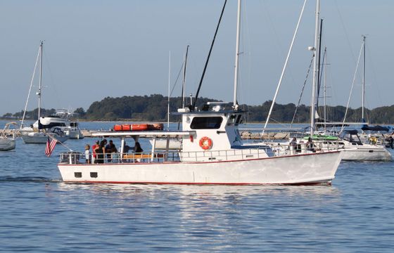 M/B Chesapeake Deadrise
