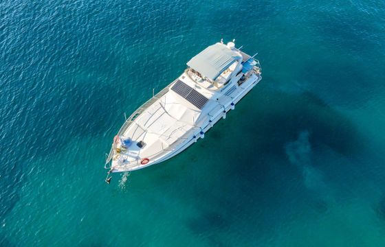 Princess 55
