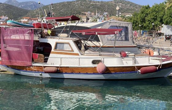 Custom 31