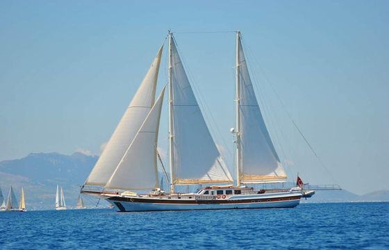 Custom Made Gulet 118