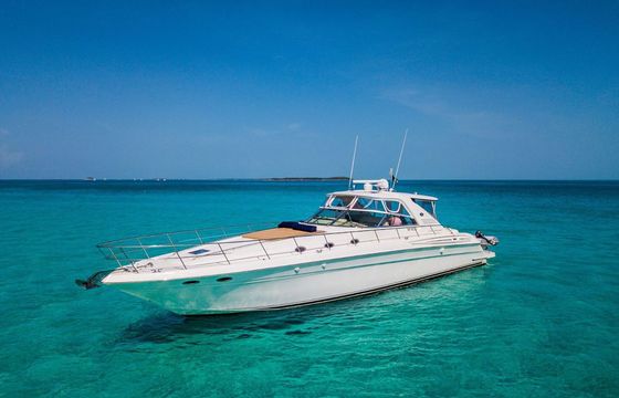 Sea Ray Sea Ray