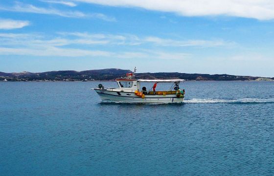 Saronic 9.90