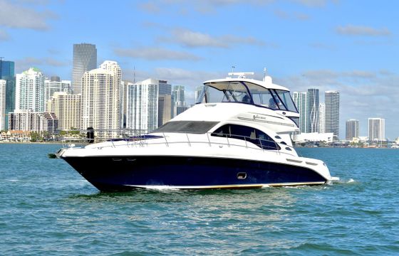 Sea Ray 58 Sedan Bridge