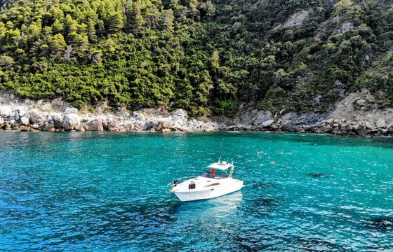 Bayliner Conquest 39