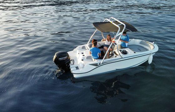 Bayliner M17