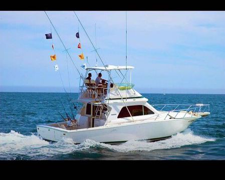 Bertram 42