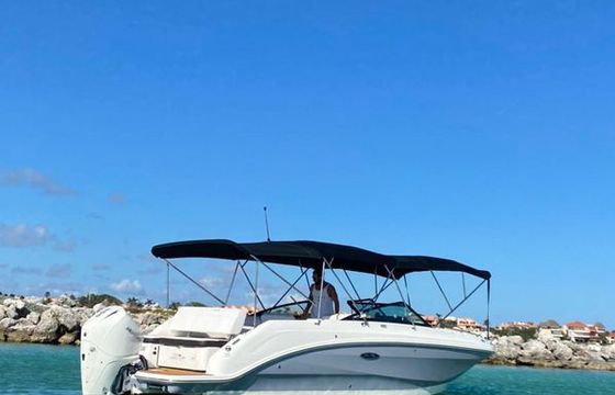 Sea Ray SDX 26