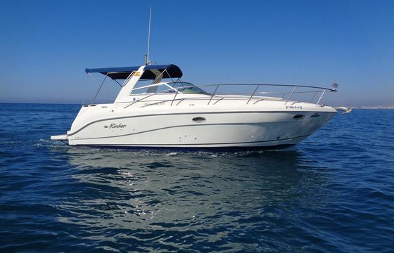 Rinker FIESTA VEE 310