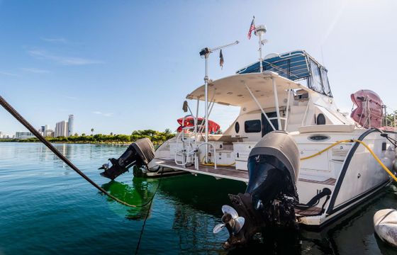 Catamaran Catamaran motoryacht