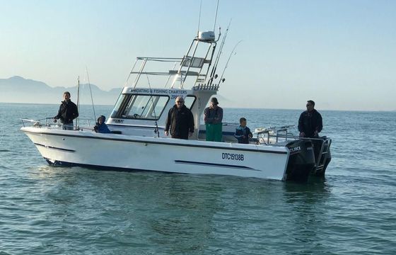 GCat 28ft mark 2