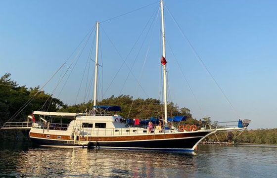 M/S 2000